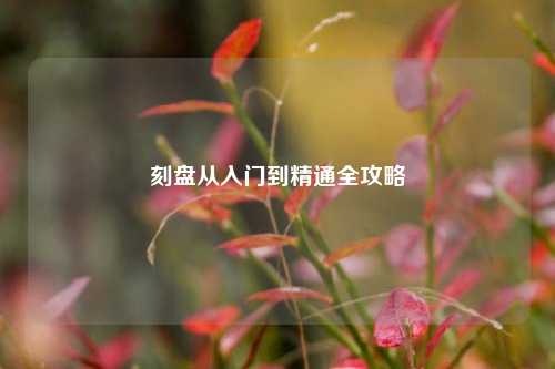 刻盘从入门到精通全攻略