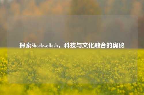 探索Shockweflash，科技与文化融合的奥秘