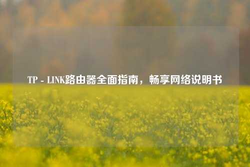 TP - LINK路由器全面指南，畅享     说明书