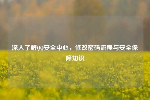 深入了解     安全中心，修改密码流程与安全保障知识