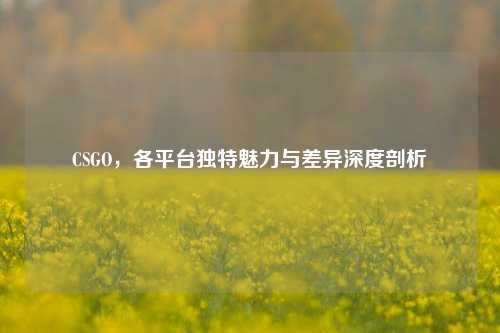 CSGO，各平     特魅力与差异深度剖析