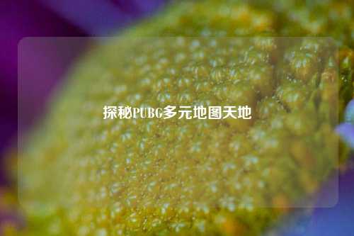 探秘PUBG多元地图天地