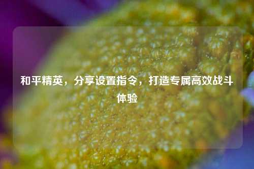 和平精英，分享设置指令，打造专属高效战斗体验