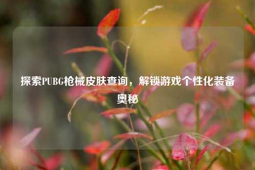 探索PUBG枪械皮肤查询,解锁游戏个性化装备奥秘
