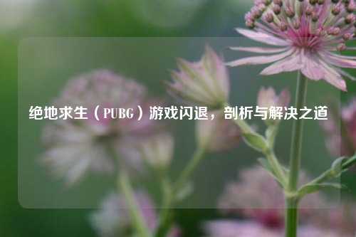 绝地求生(PUBG)游戏闪退,剖析与解决之道