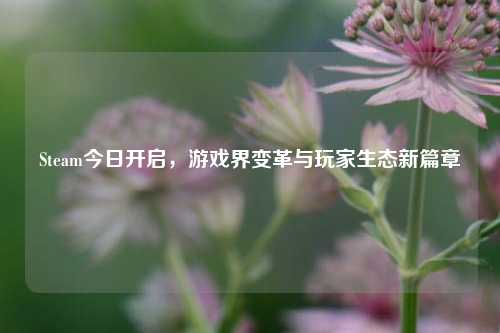 Steam今日开启,游戏界变革与玩家生态新篇章