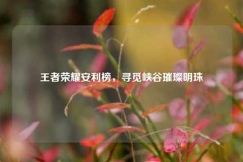 王者荣耀安利榜，寻觅峡谷璀璨明珠
