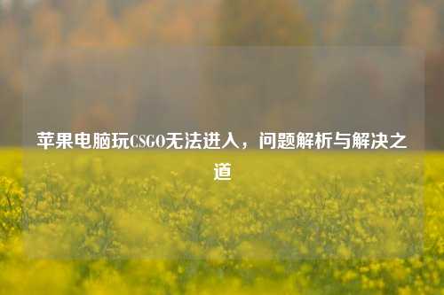 苹果电脑玩CSGO无法进入,问题解析与解决之道