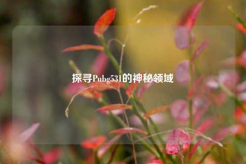 探寻Pubg531的神秘领域