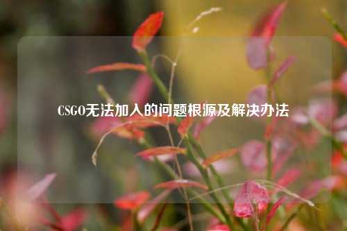 CSGO无法加入的问题根源及解决办法