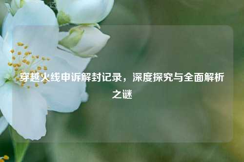 穿越火线申诉解封记录，深度探究与全面解析之谜