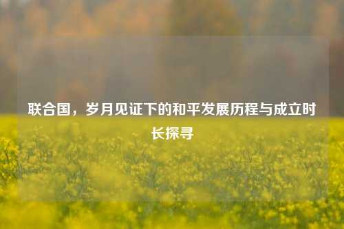 联合国，岁月见证下的和平发展历程与成立时长探寻
