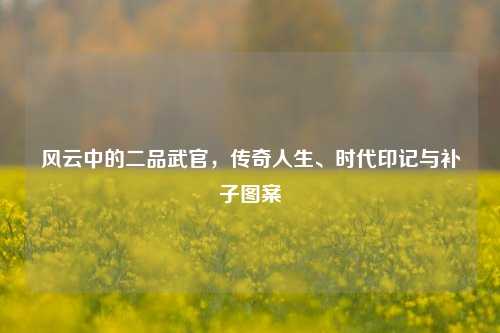 风云中的二品武官,传奇人生、时代印记与补子图案