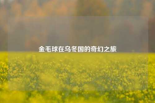 金毛球在乌冬国的奇幻之旅