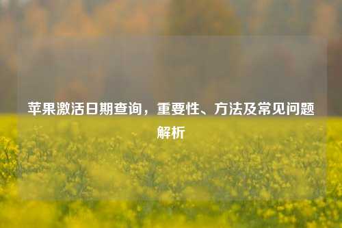 苹果激活日期查询，重要性、     及常见问题解析