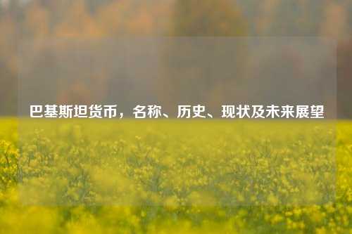 巴基斯坦货币，名称、历史、现状及未来展望
