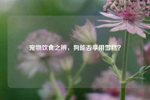 宠物饮食之辨，狗能否享用雪糕？