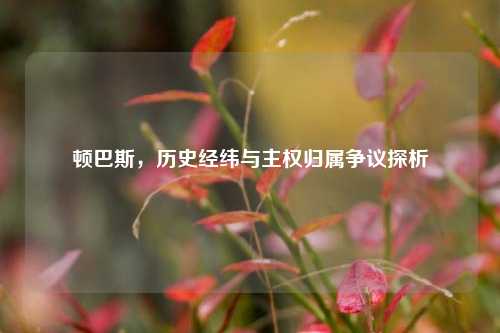 顿巴斯，历史经纬与     归属争议探析