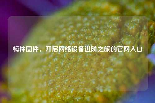 梅林固件，开启     设备进阶之旅的官网入口
