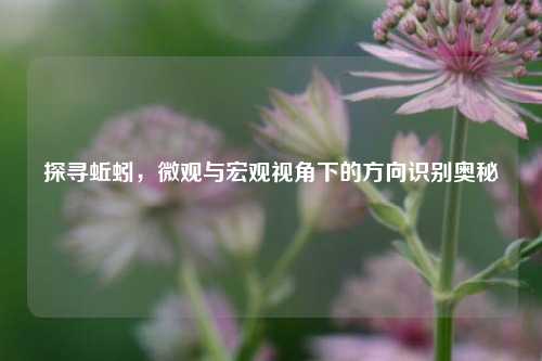 探寻蚯蚓，微观与宏观视角下的方向识别奥秘