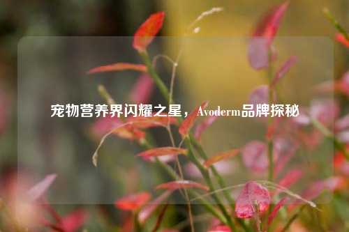 宠物营养界闪耀之星，Avoderm品牌探秘