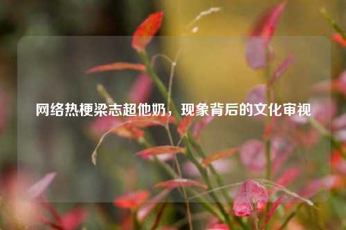      热梗梁志超他奶，现象背后的文化审视