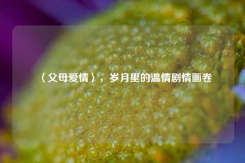 〈父母爱情〉,岁月里的温情剧情画卷
