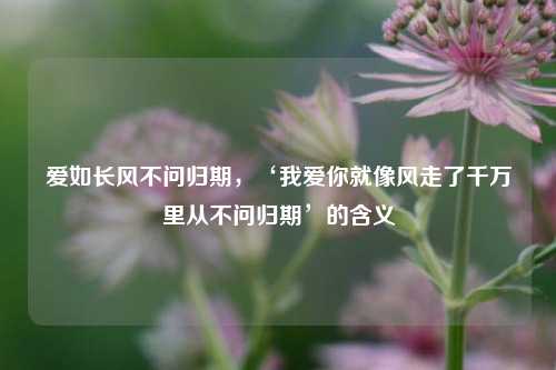 爱如长风不问归期，‘我爱你就像风走了千万里从不问归期’的含义