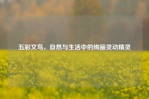 五彩文鸟,自然与生活中的绚丽灵动精灵