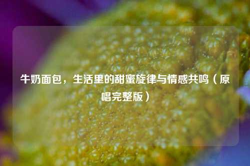 牛奶面包,生活里的甜蜜旋律与情感共鸣(原唱完整版)