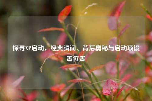 探寻XP启动,经典瞬间、背后奥秘与启动项设置位置