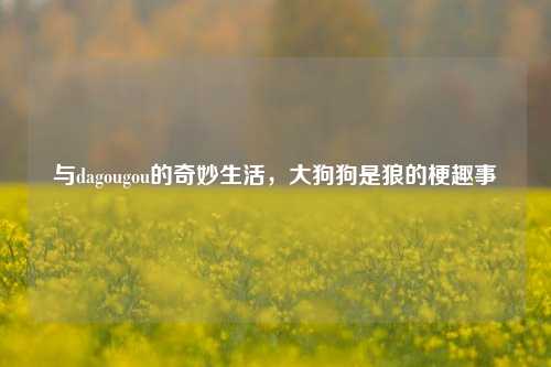 与dagougou的奇妙生活,大狗狗是狼的梗趣事
