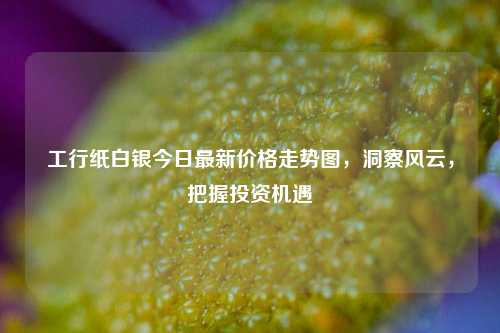 工行纸白银今日最新价格走势图,洞察风云,把握投资机遇