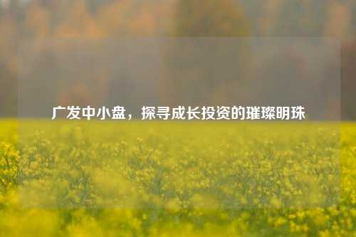广发中小盘,探寻成长投资的璀璨明珠