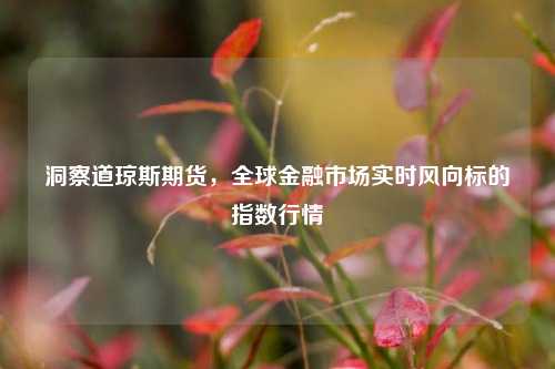 洞察道琼斯期货,全球金融市场实时风向标的指数行情