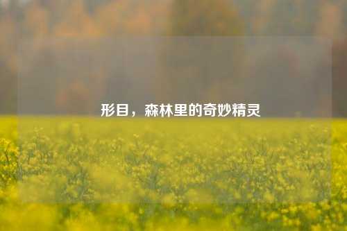 鴷形目,森林里的奇妙精灵