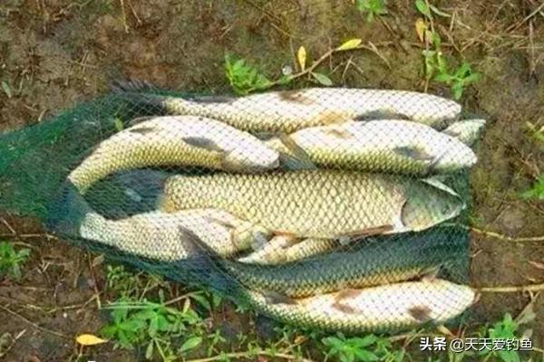 找到配方提到的三种材料,天龙八部2门派药品都需要些什么材料