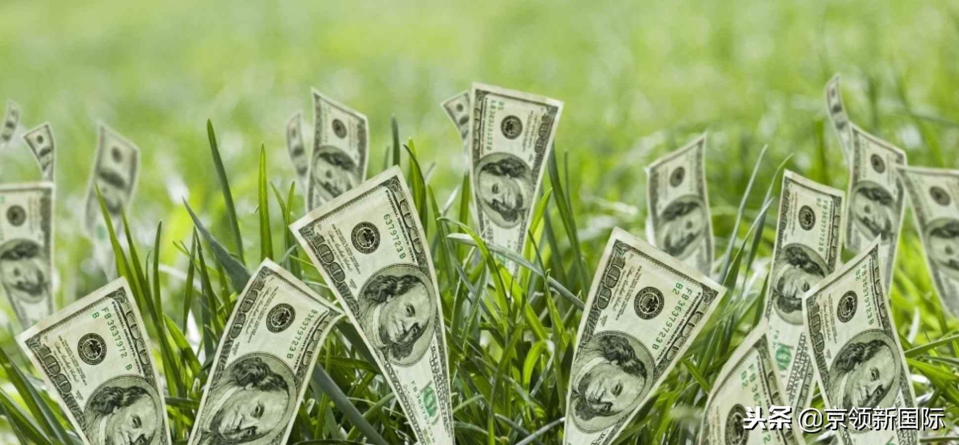 之一基金网,之一次买基金多少钱一股